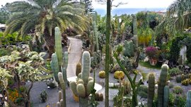 Ravino Garten Ischia