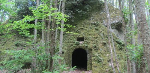 die Zaueberwald Ischia 
