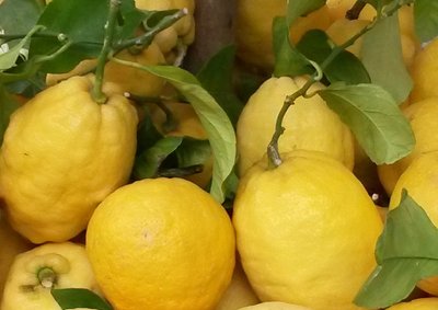 Frische Zitronen