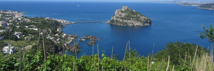 Ischia Castello Aragonese mit der Cartaromana Bucht