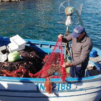 Sorrent Fischerboot Gozzo