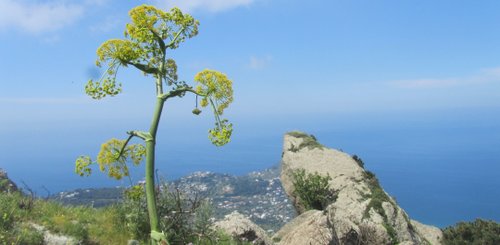 Panorama auf den Weg zur Epomeo der höchste Berg Ischias