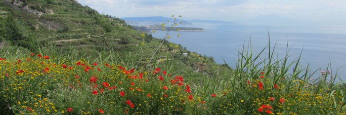 Panorama auf einer Wanderung der Wanderwoche auf Ischia