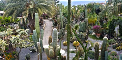 Ravino Garten Ischia