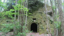 die Zaueberwald Ischia 