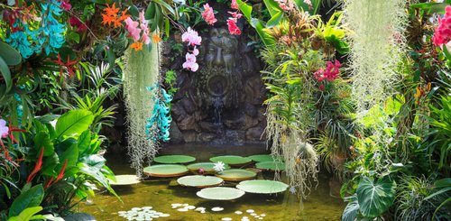 Victoria House La Mortella Garten Ischia 
