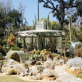 Botanicher Garten, Neapel