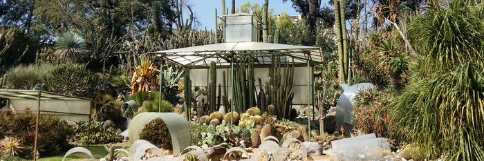 Botanicher Garten, Neapel