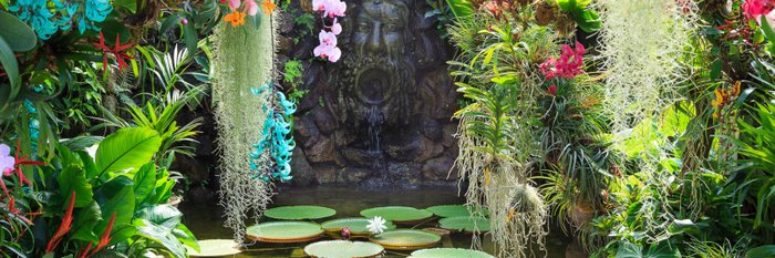 Victoria House La Mortella Garten Ischia 