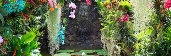 Victoria House La Mortella Garten Ischia 