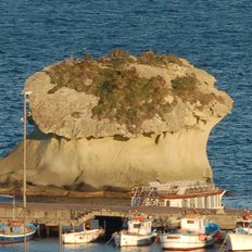 der Pilz das Wahrzeichen der Gemeinde Lacco Ameno Ischia