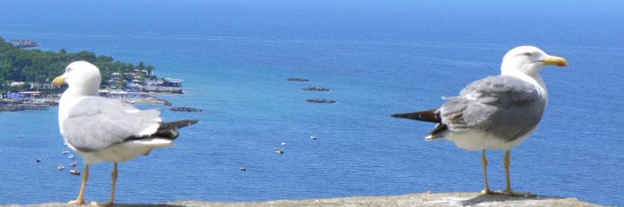 Wunderschöne Aussichten in alle Richtungen......Ischia Wandern Bildgalerie