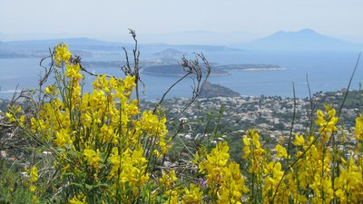 Ausblick auf unser Quellwanderung, Wanderwege auf Ischia