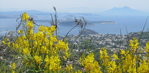 Ausblick auf unser Quellwanderung, Wanderwege auf Ischia