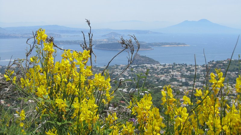 Wanderwege auf Ischia - Wanderungen mit Wanderführer auf Ischia