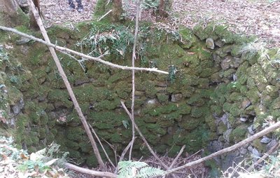 Schneegrube in einem Kastanienwald Insel Ischia