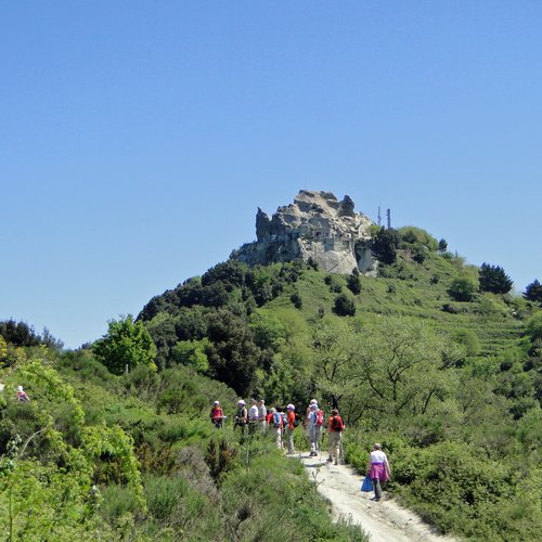 Wandergruppe auf dem Weg zum Epomeo dem höechsten Berg Ischias