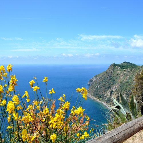 Tageswanderung auf Ischia, Scarrupata 