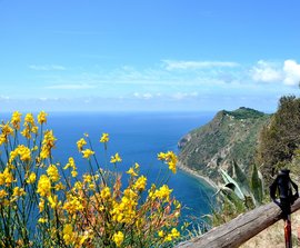 Tageswanderung auf Ischia, Scarrupata 