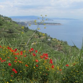 Panorama auf einer Wanderung der Wanderwoche auf Ischia