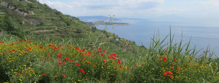 Panorama auf einer Wanderung der Wanderwoche auf Ischia